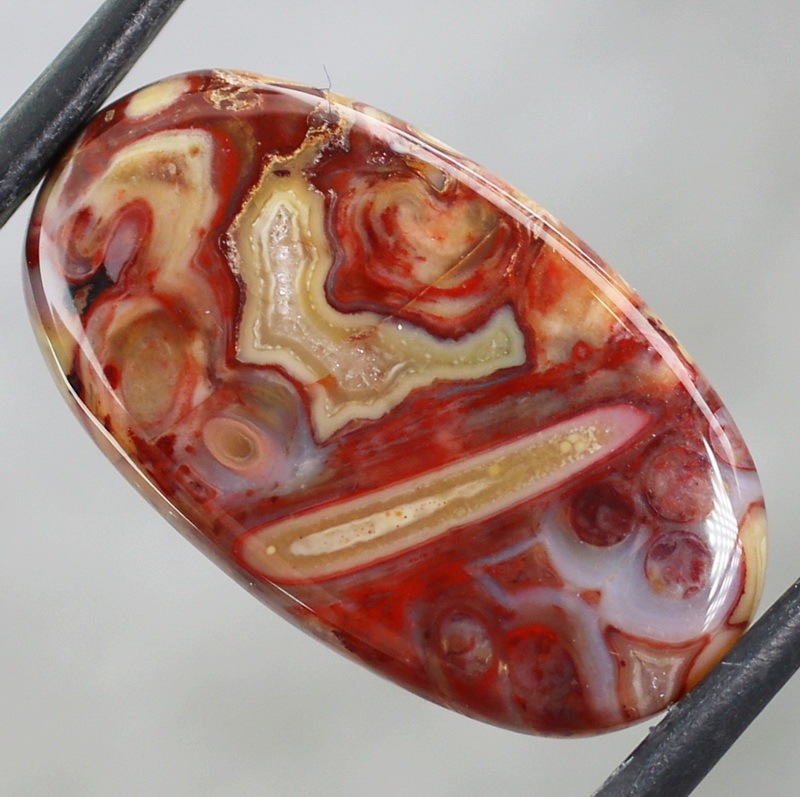 Highly figurative 10.92ct crazy lace Agate