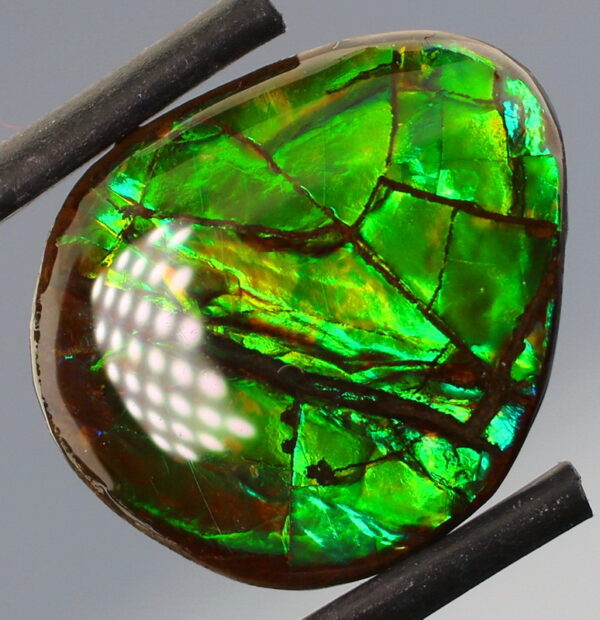 Glowing 7.92ct shifting green Ammolite