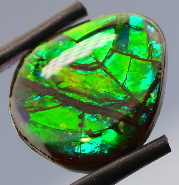 Glowing 7.92ct shifting green Ammolite
