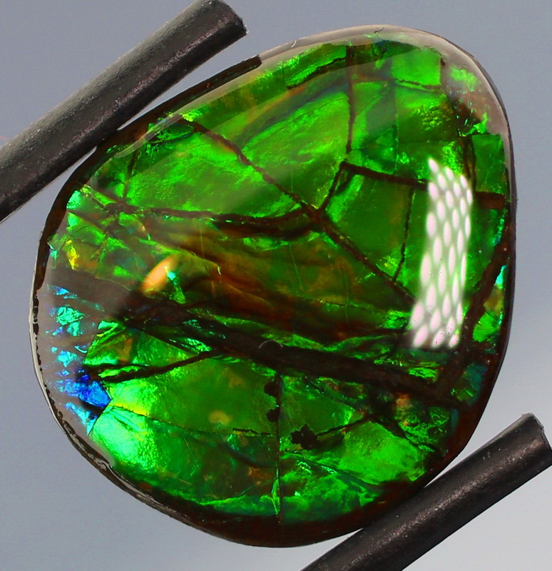 Glowing 7.92ct shifting green Ammolite