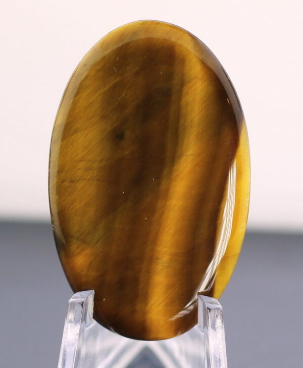 Tremendous 49.78ct Tiger Eye cabochon