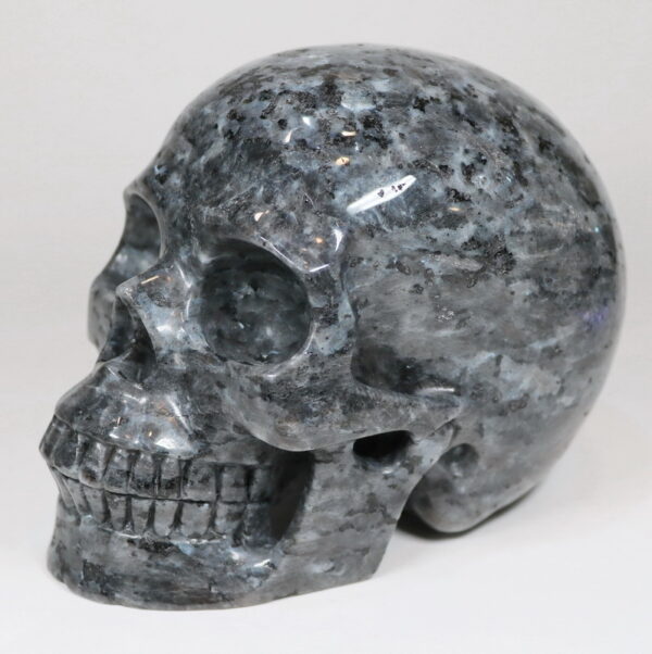 Spooky 6,725ct Larvikite Skull Carving