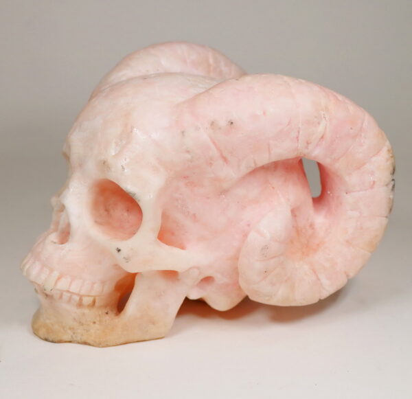 6,065ct Horned Skull Pink Aragonite Carving