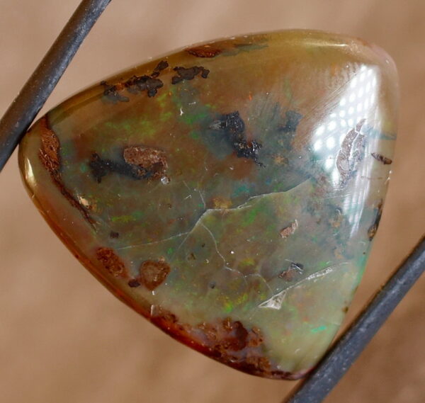 Very unique 28.50ct mossy Opal cabochon