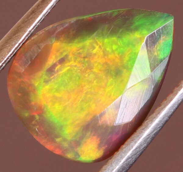 Silky 1.65ct Floral Fairy Fire Flashing Black Opal